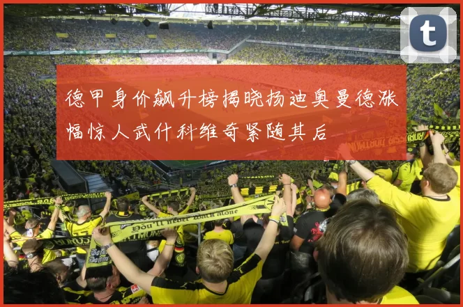 德甲身价飙升榜揭晓扬迪奥曼德涨幅惊人武什科维奇紧随其后