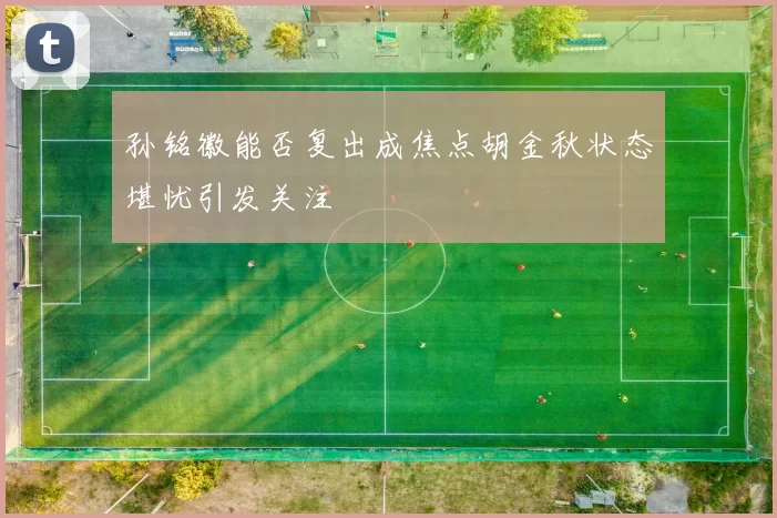 孙铭徽能否复出成焦点胡金秋状态堪忧引发关注